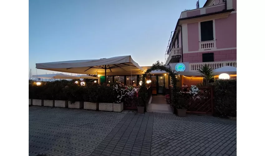 Ristorante IL Delfino Verde