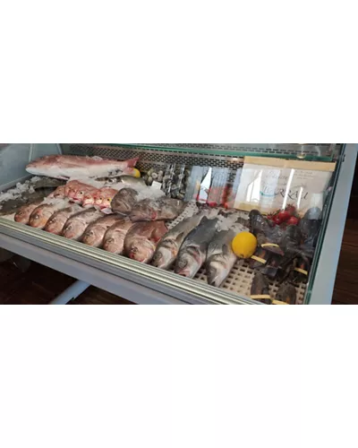 Ristorante IL Delfino Verde