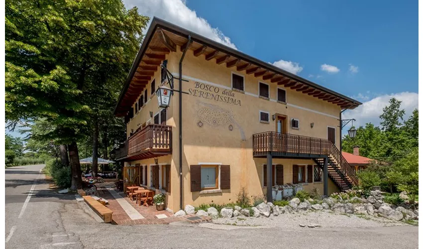 Bosco della Serenissima