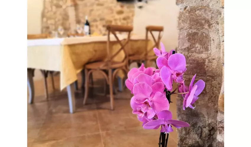 Country House Torrenera