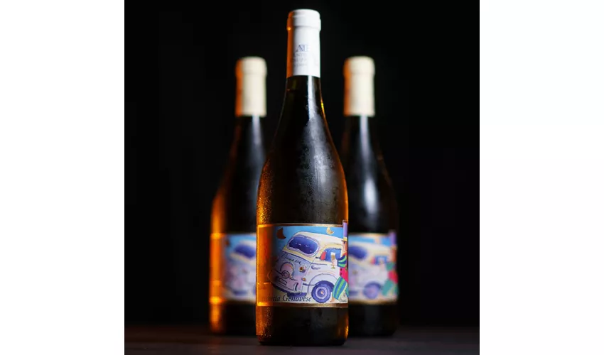 BIANCHETTA-BIANCHETTAGENOVESE-VINO-VINOBIANCO-BRUZZONE-MADDALIVE-SPAZIOCREATIVO-ARMITALY-GENOVA