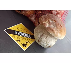 In Forcora