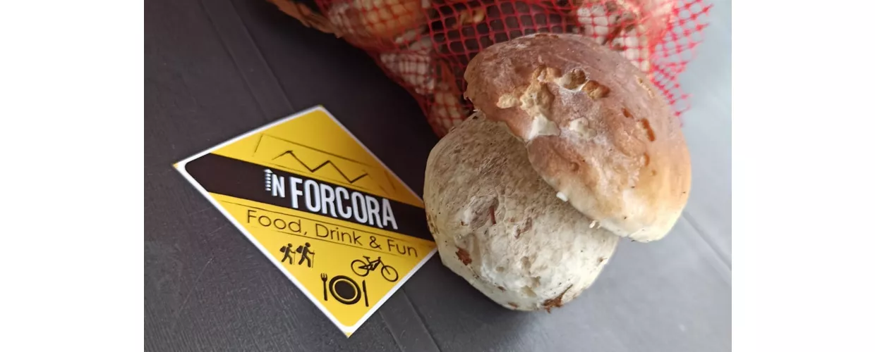 In Forcora