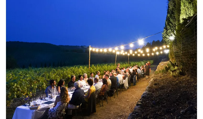 Tuscanteam.com