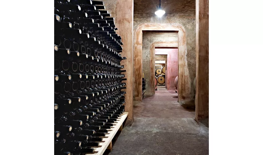 _UFI3458_cantina2_stampa_bassa ris