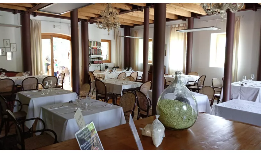 Agriturismo Fattoria Ortoalpino