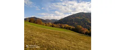 Agriturismo Fattoria Ortoalpino