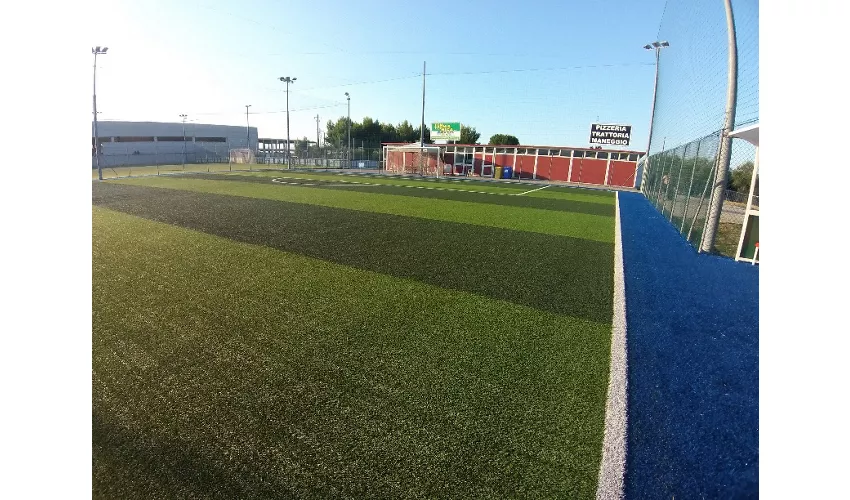 La Macchia degli Esperti Srl