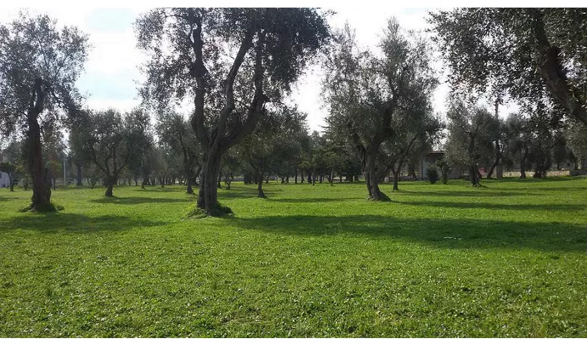 La Macchia degli Esperti Srl