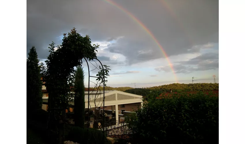 Trattoria Castello