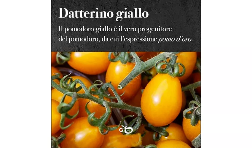 Pizzeria Pellegrino