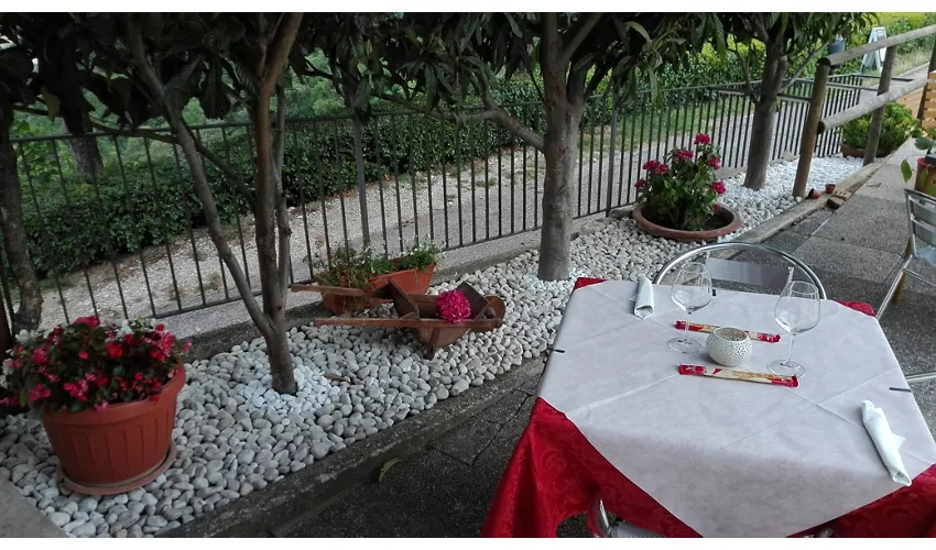 Bar Pizzeria da Giacomo