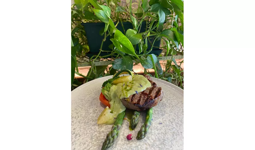 TRATTORIA ZACCARIA