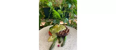TRATTORIA ZACCARIA