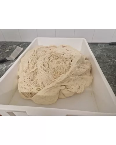 Via Gioacchino Ascoli, 5