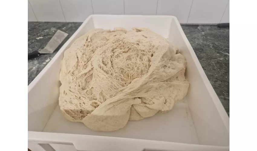 Via Gioacchino Ascoli, 5