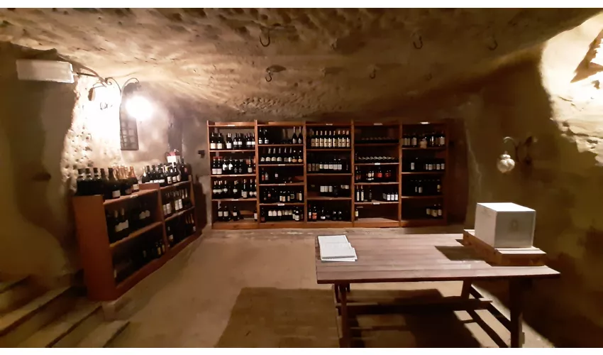 Bar Trattoria Anconella