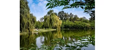 Da Andrea Restaurant & Events