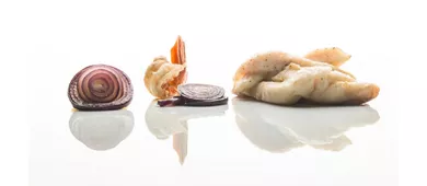 L'A Gourmet L'Accademia