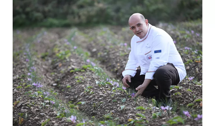 L'A Gourmet L'Accademia