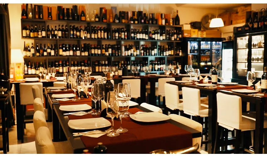 Vinness | Vineria & Gastronomia