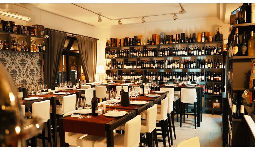 Vinness | Vineria & Gastronomia