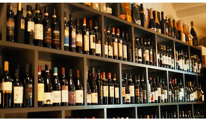 Vinness | Vineria & Gastronomia