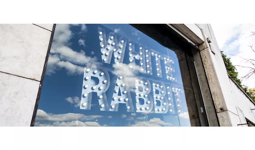 White Rabbit