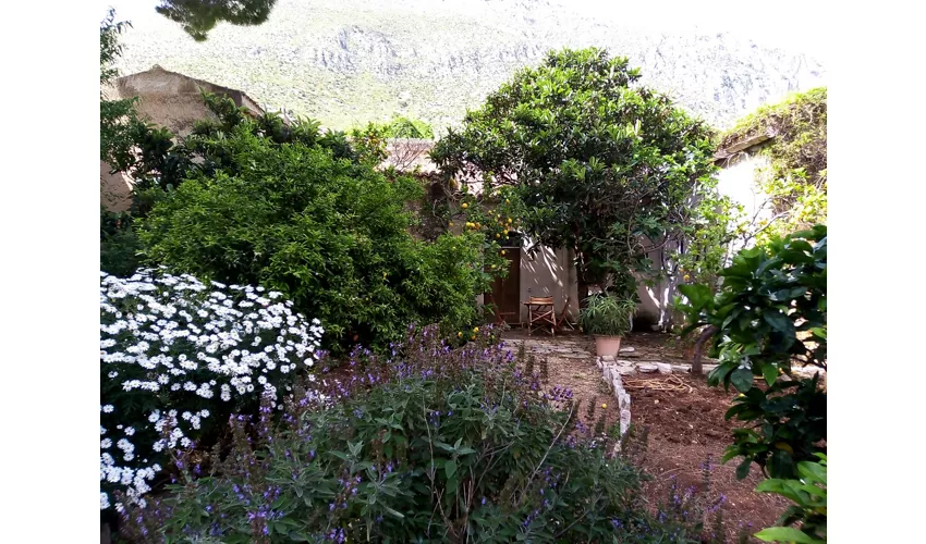 Agriturismo Castelluzzo Azienda Agricola Biologica