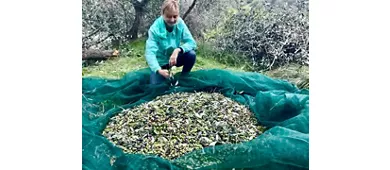 Azienda agrituristica Monaci Templari