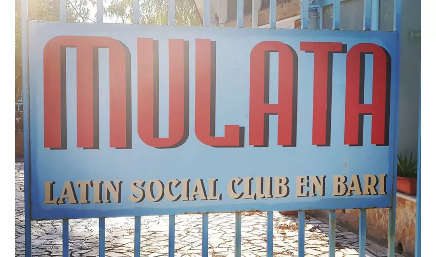 Mulata SRL