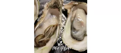 MARE NOSTRUM Seafood