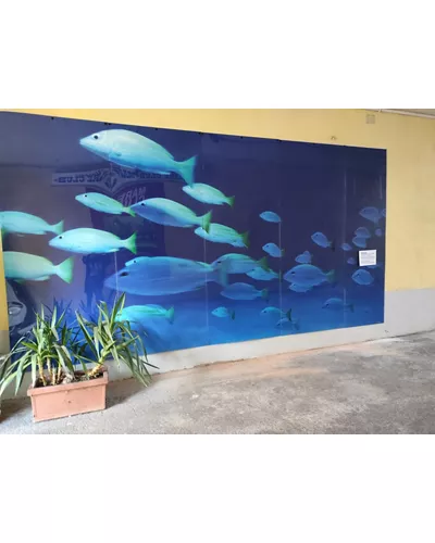 Villaggi Mare Club Srl