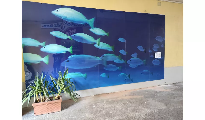 Villaggi Mare Club Srl