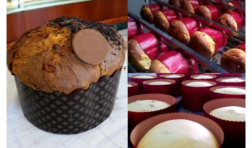 Pasticceria del Trivio - Gelateria, Bar, in Alatri