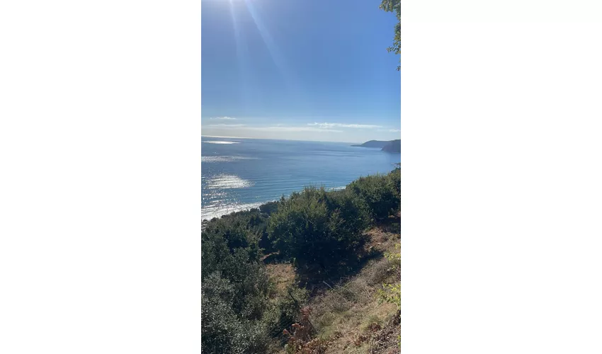 Il Poggio del Mare