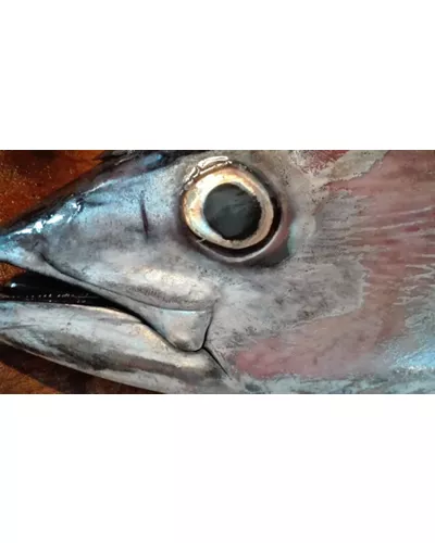 Enotria l'Osteria