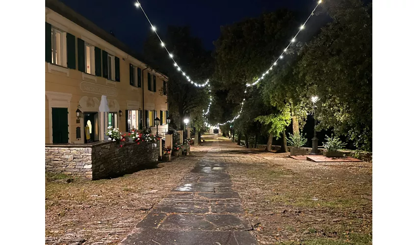 Hotel bar ristorante Montallegro