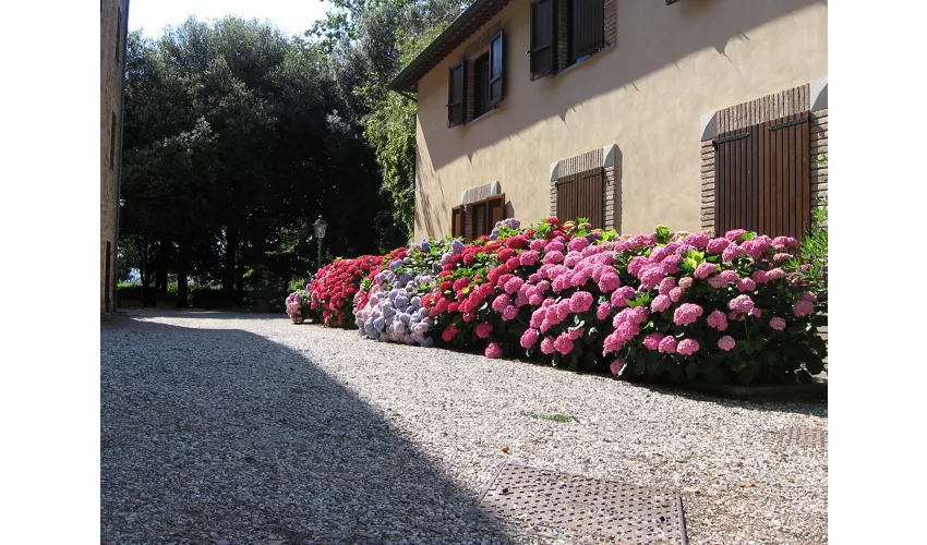 Montecorneo Country House