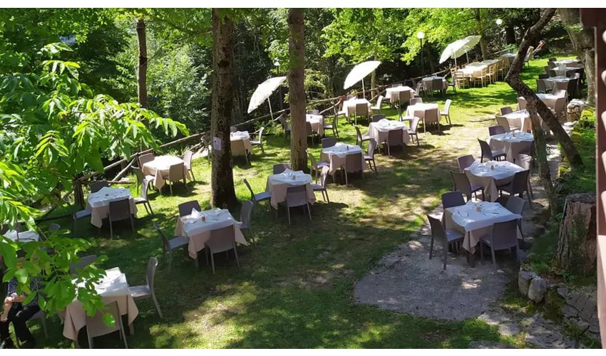 Ristorante Due Orsi