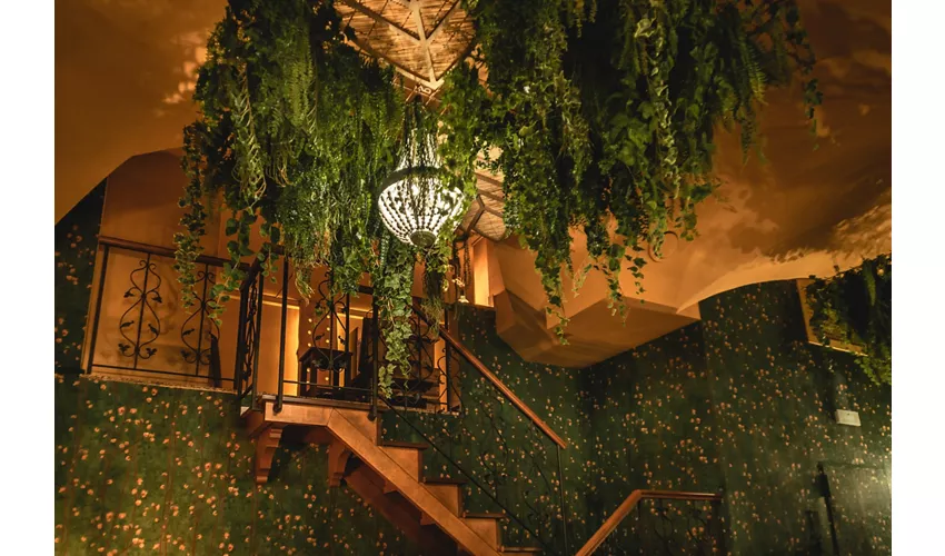 Leaf Bar