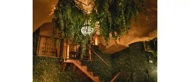Leaf Bar