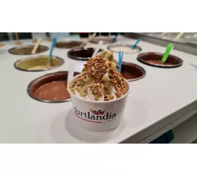 Yogurtlandia