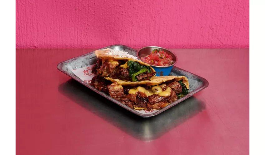 Chihuahua Tacos