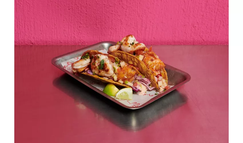 Chihuahua Tacos