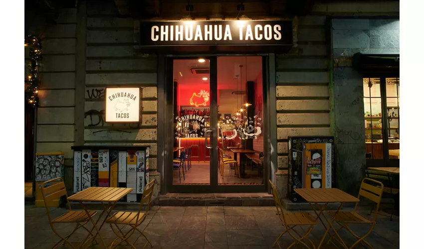 Chihuahua Tacos