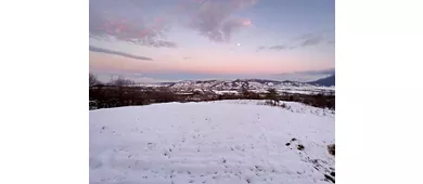 L'Agrifoglio