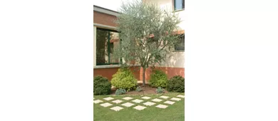 Ristorante Corona