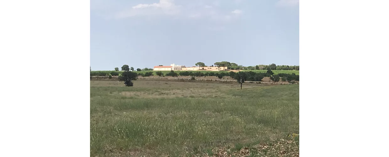 Le Masserie Zucaro