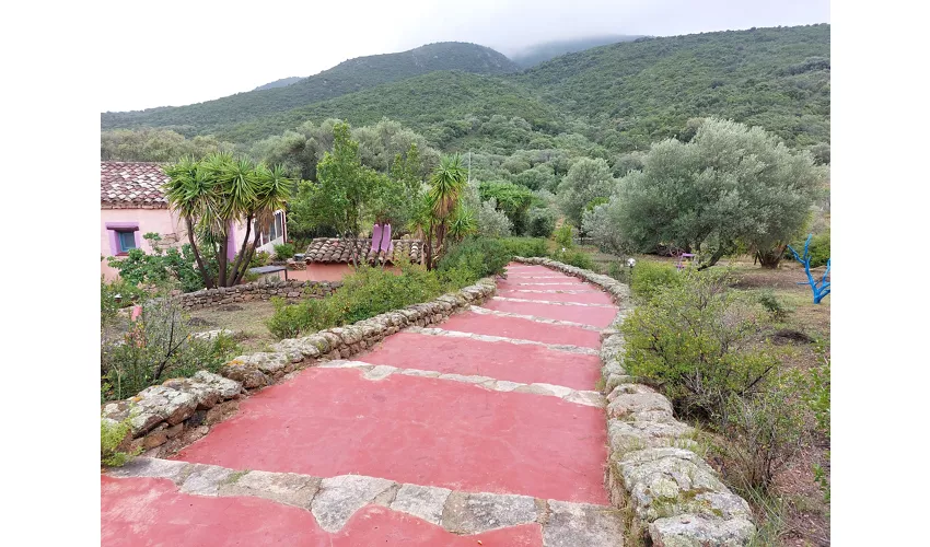 Agriturismo Agrisole